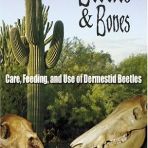 Beetles & Bones: Care, Feeding, and Use